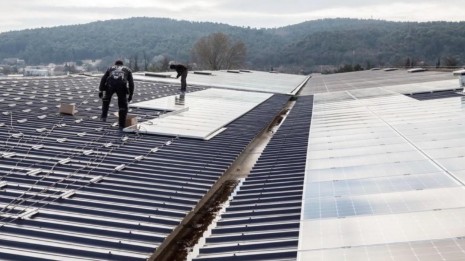 Icko Apiculture - 250 Kwc